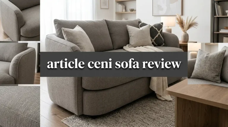 Article Ceni Sofa Review: Mid Century Couch Worth It?